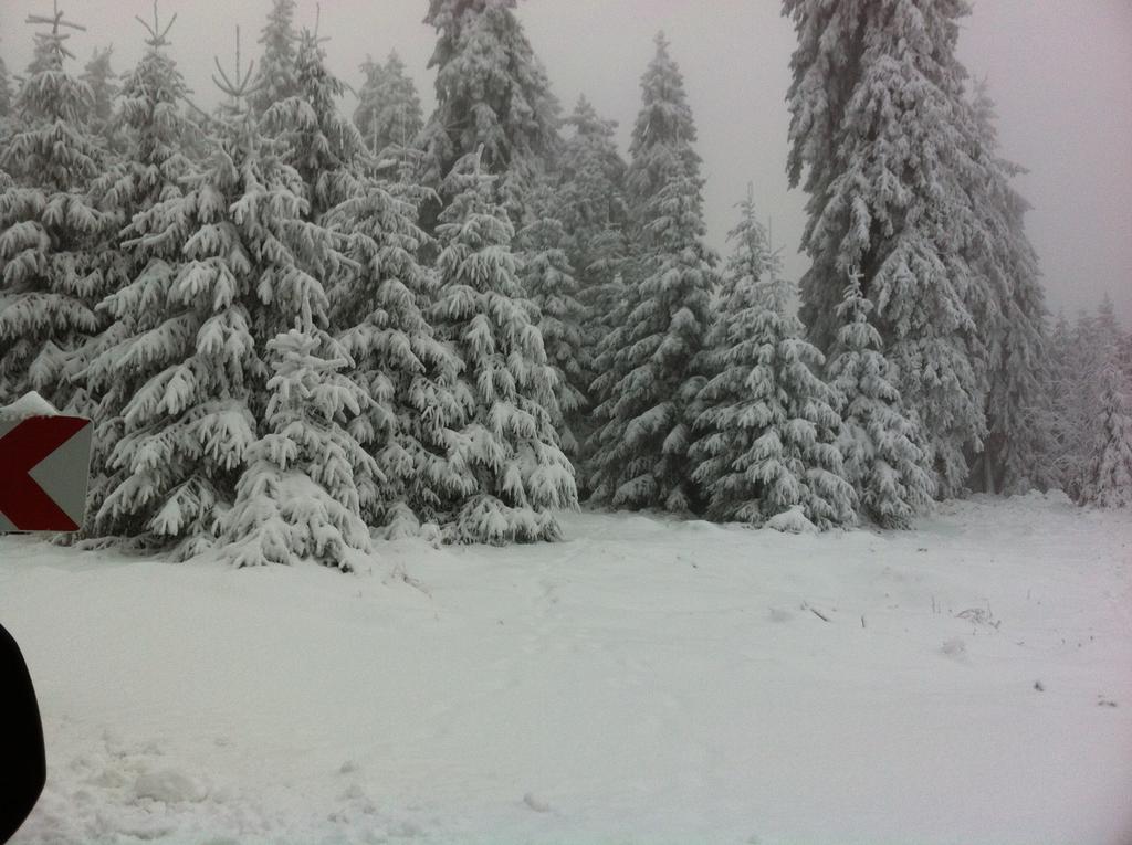 Land-Hotel Am Wald Garni グライツ エクステリア 写真